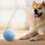2Pcs Rechargeable Interactive Cat Toy Balls