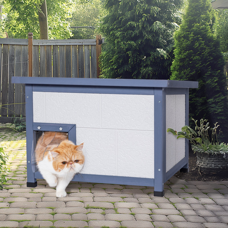 Maison d'extérieur polyvalente en mousse pour chat