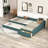Upholstered Double Daybed with Trundle and Drawer-1430117701