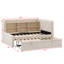 Lit de jour rembourré avec lit gigogne, tablettes de rangement, port USB et prise de courant-114221909