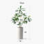 66 plantes-97701027