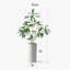 66 plantes-97701041