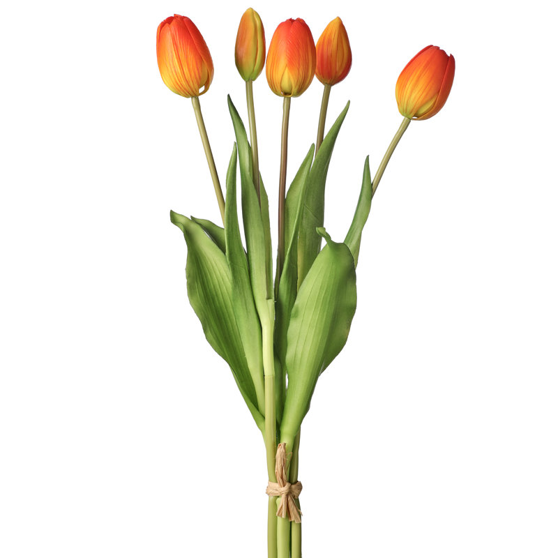 Tige de tulipe douce au toucher, Orange