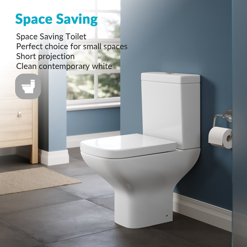 Belfry Bathroom Laplant 1.59L LPF Elongated One-Piece Toilet (Seat Not Included)