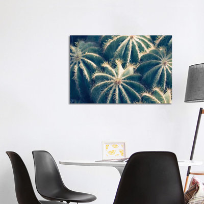 Cactus Garden II by Ann Hudec - Wrapped Canvas Print