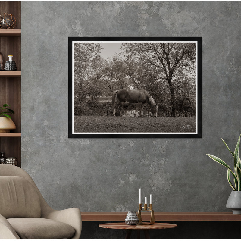 Grazing IV Print by Tim Klein