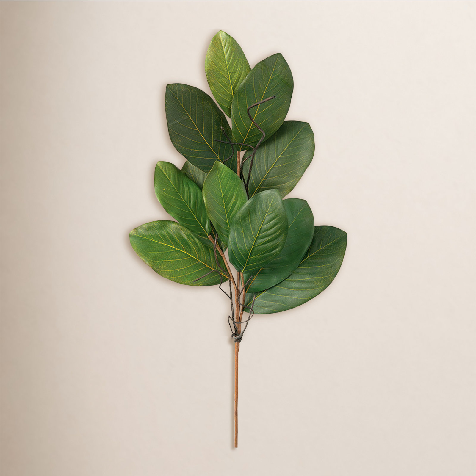 Magnolia Spray