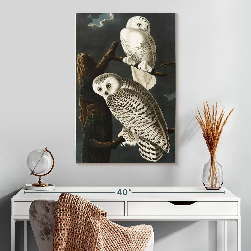 Brampt Snowy Owls, 30" H x 20" W