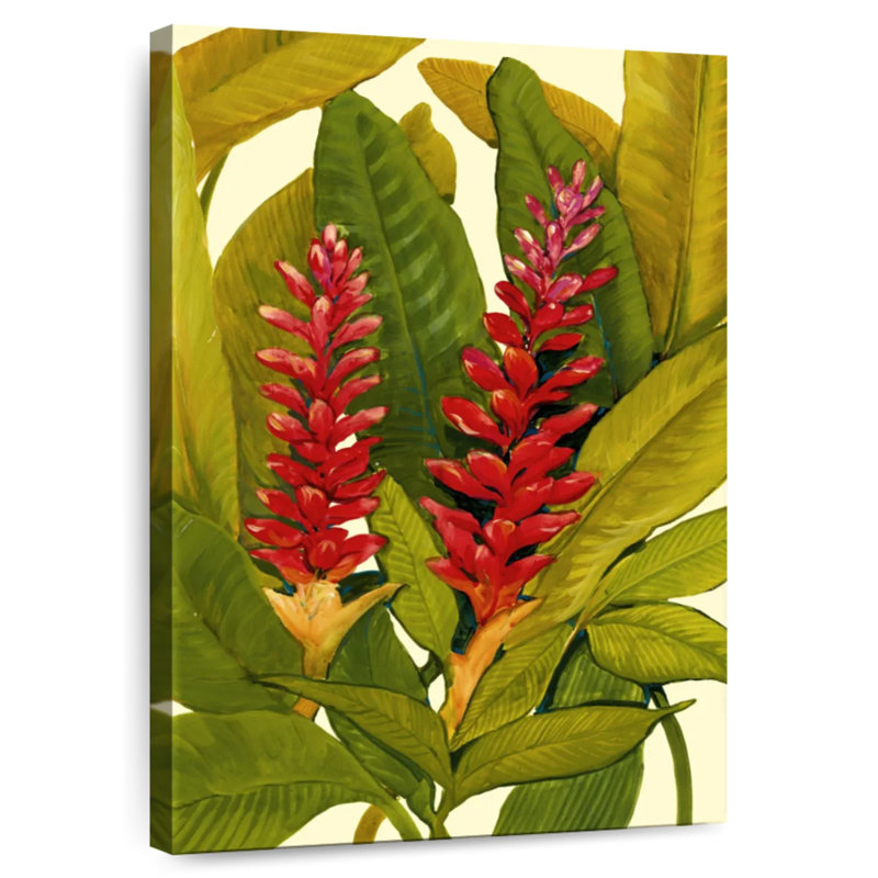 Harnek Tropical Red Ginger, 12" H x 8" W