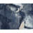 Hand Knotted Indoor Rug-110891557