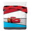 Red/Grey/White 100% Cotton 144 TC Reversible 2 Piece Duvet Cover Set-71060367