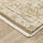 Lainey Vintage Center Medallion Brown/Beige Area Rug-1498304746