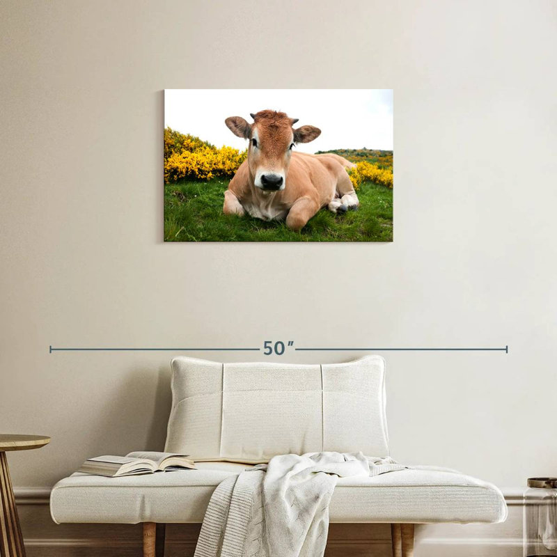 Adorable Aubrac Cow, 20" H x 30" W