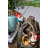 8.3X4.7X13.8" Decorative Woodland Gnome Water Fountain With LED Light