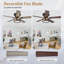 52''5-Blade Flush Ceiling fan with Light Kit and Control Included-559386108