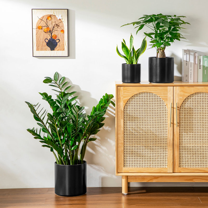ZTHPOT Ceramic Pot Planter, Black