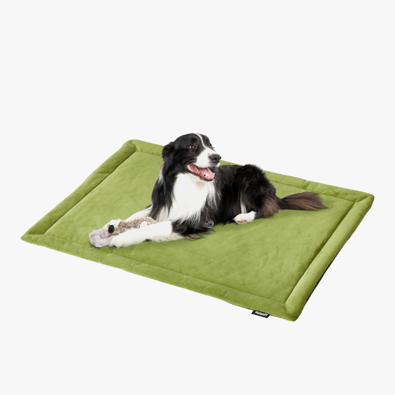 Tapis de lit pour chien Mckoy, H 1,5 po x l 32 po x P 24 po, Vert olive