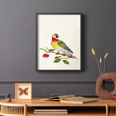 Bird in Habitat VI, reproduction encadrée - bois massif