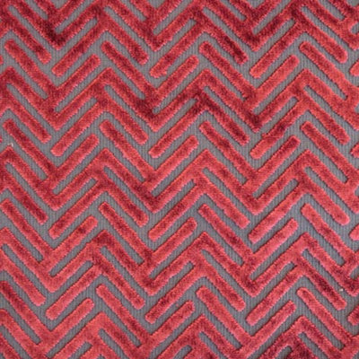 Apollo-Starlet Burnout Velvet Fabric