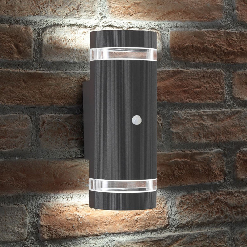 Halleli 2 - Bulb 26cm H Outdoor Armed Sconce, Yes, 6500K, Anthracite