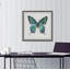 Impression sur papier Aldwell «Watercolor Butterfly» sur papier-1592967869