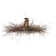 Rustic Lodge 8 - Light Chandelier