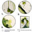 Green Green Moss Tree - reproduction d'art sur toile-87382033-87382034