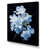 Wrapped Canvas