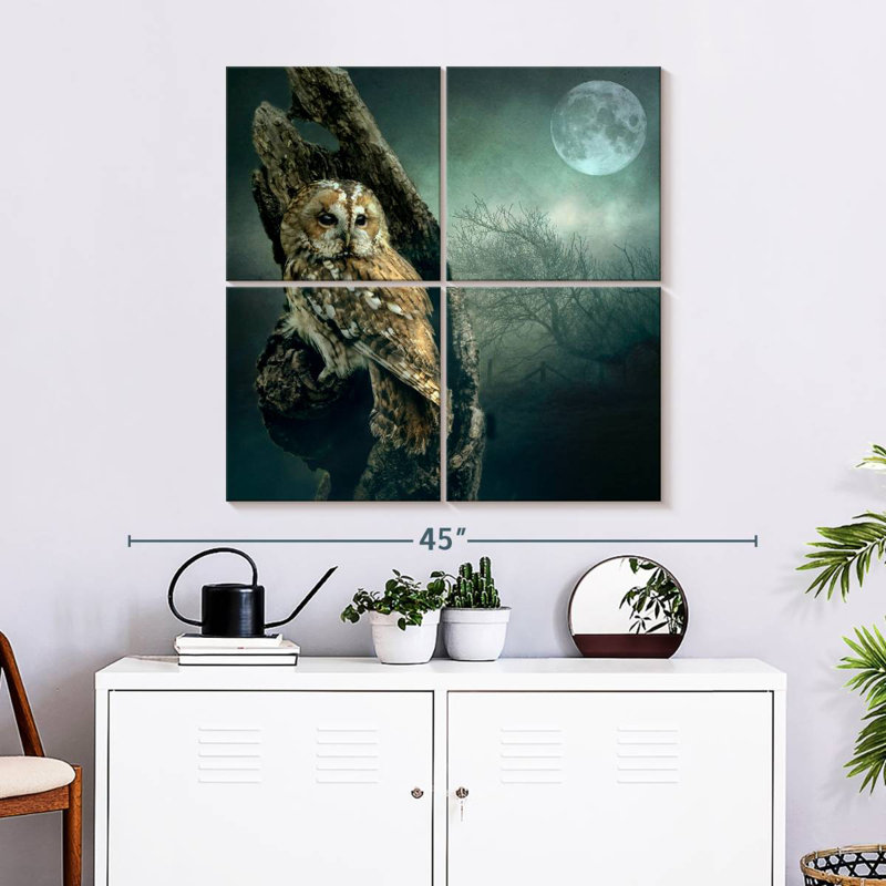 Brampt Owl At Night