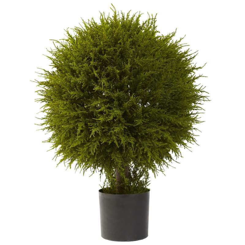 32'' Faux Cedar Topiary in Planter, 32''H x 24''W x 24''D