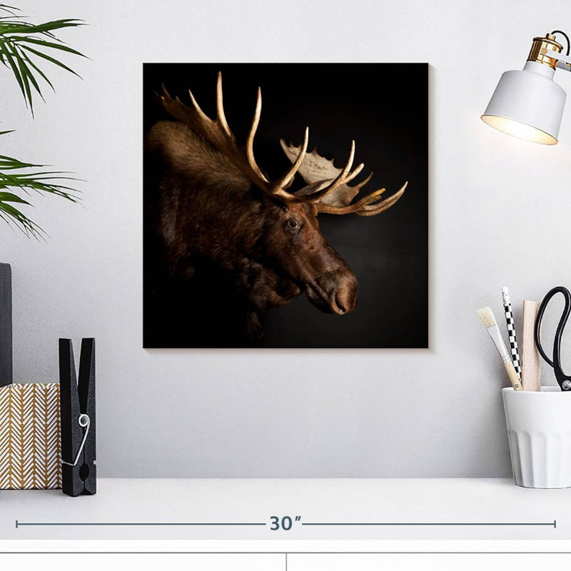 Brampt Antlered Moose, 16" H x 16" W