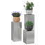 Plant Stand-1292622673