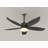 42-Inch Outdoor Ceiling Fan Light Kit with Remote Control