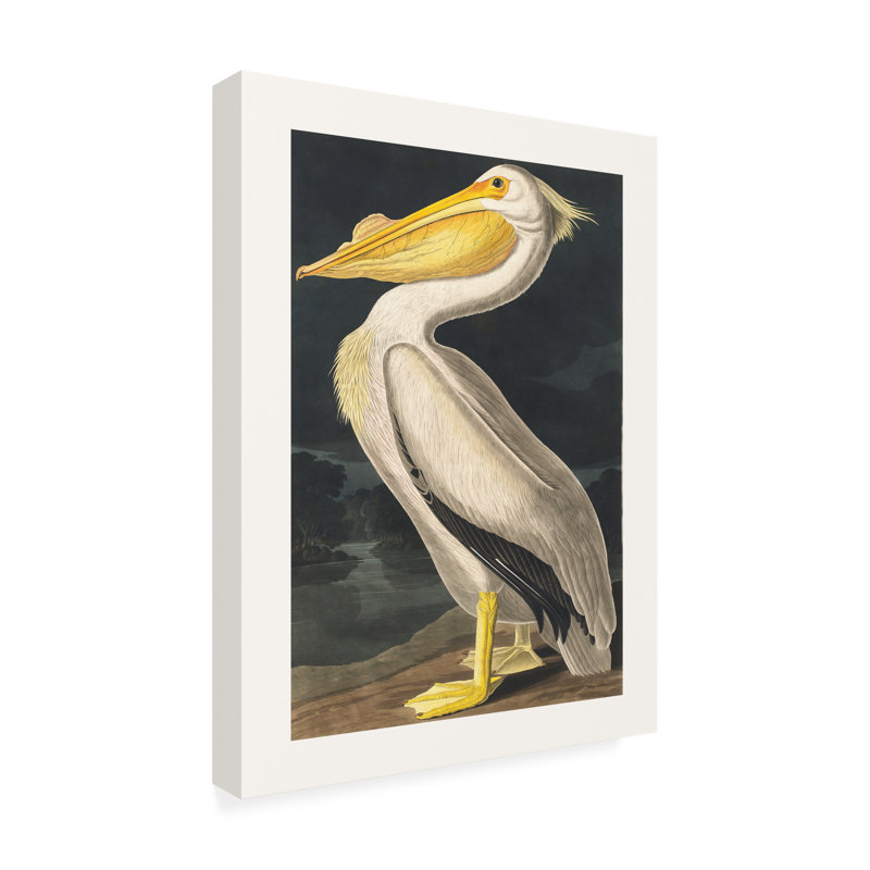 Pélican d'Amérique des oiseaux d'Amérique 1827, H 32 po x l 24 po x P 2 po