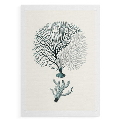 Corail antique III - reproduction de toile seulement - non encadrée
