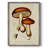 Mushroom Varieties VI Framed Print - Solid Wood-775853104