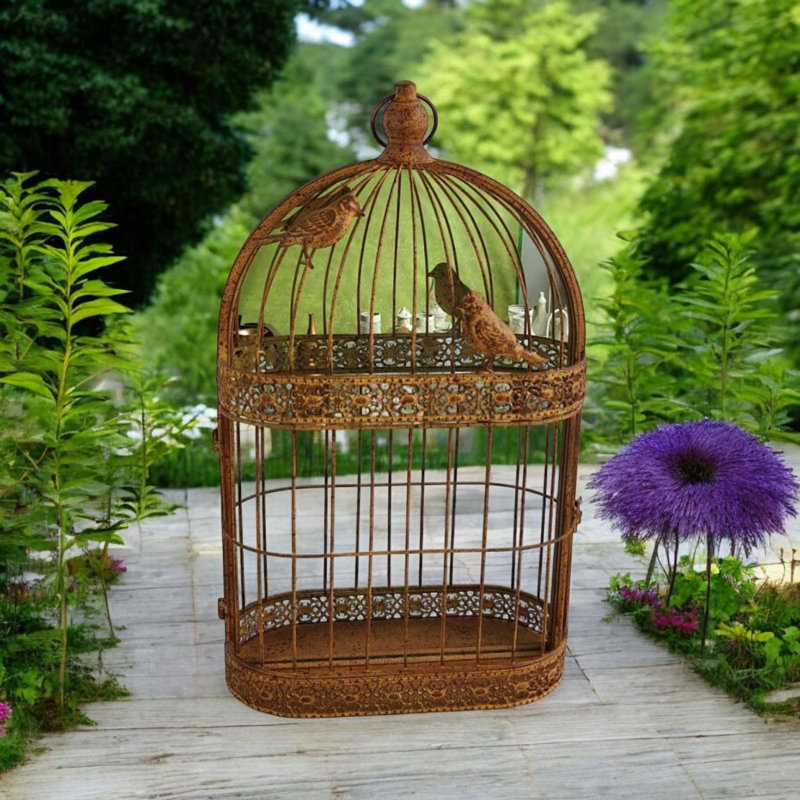 Rusty Bird Cage Garden Wall Mirror Antique Metal Indoor Outdoor Hanging Decorative Accent Decor, Gold