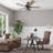Socorro 52" Ceiling Fan with LED Light-1292136307