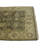 Performance Wool Oriental Indoor Rug