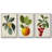 " Garden Gems I " 3 - Pieces-837693336-837693337