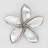 Plumeria medium knob-39948783-104672779-126755984