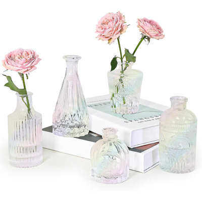 Ensemble de 5 vases à fleurs en verre