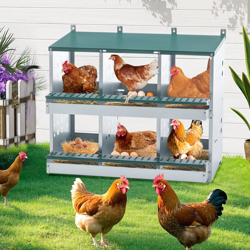 Cage à poulets 6 compartiments en acier galvanisé, système de collecte automatique des œufs, panneau de protection supérieur pour assemblage rapide, emboîtement en acier avec profondeur de 32,68 po, disposition bien conçue