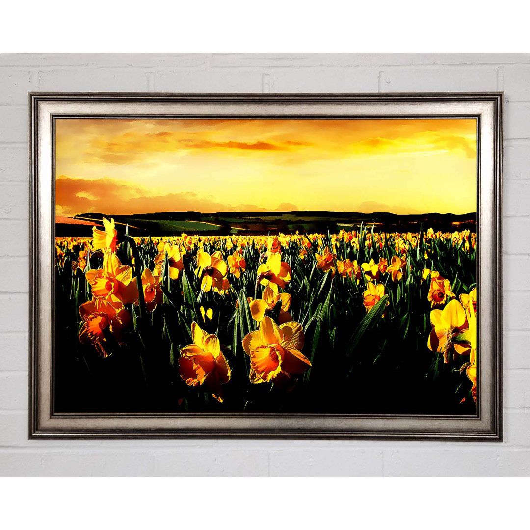 Field Of Golden Daffodils - Einzelner Bilderrahmen Kunstdrucke