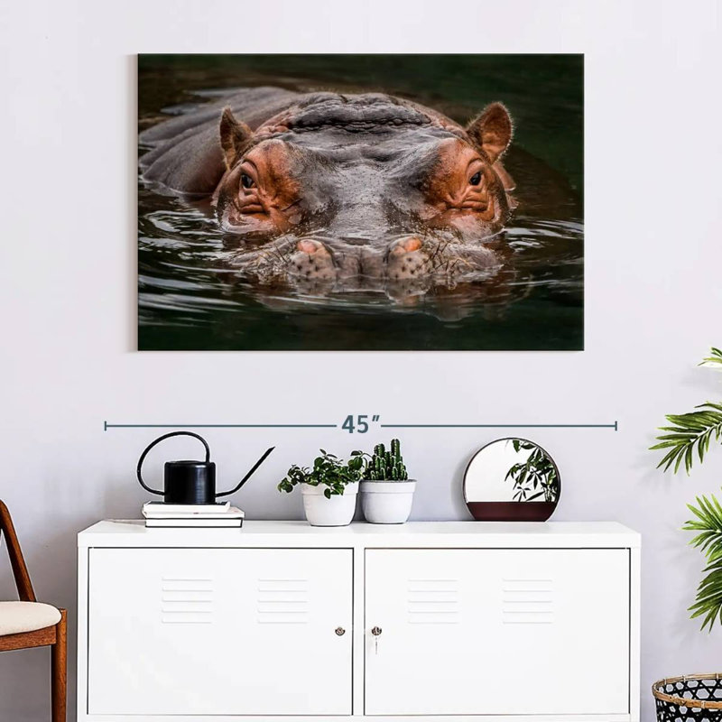 Brampt Submerged Hippo, 26" H x 39" W