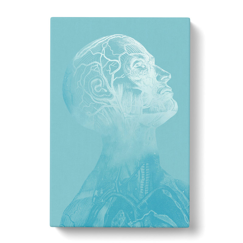 Teal Anatomical Twilight Head - Wrapped Canvas Print, 91cm H x 60cm W x 3cm D