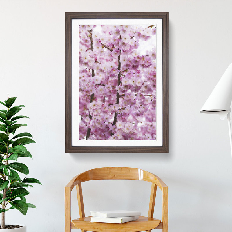 Pink Cherry Blossom Flowers Vol.2 - Picture Frame Graphic Art, 48cm H x 36cm W x 2cm D, Walnut Framed