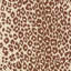 Iconic Leopard Wallpaper-69259198