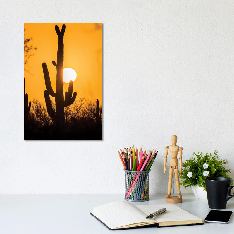 USA, Arizona, Saguaro National Park. Saguaro Cactus At Sunset. by Jaynes Gallery - Wrapped Canvas Print