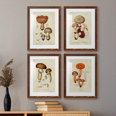Mushroom Variétés I - Ensemble de 4 cadres photo